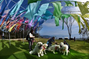 入選　三浦征志浪「愛犬の休日」s